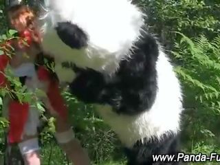 Plush panda fairytale per rosso cavalcare cappuccio