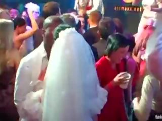 Glorious oversexed brides suck big cocks in public