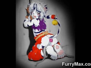 টুন furry ফেরেশতা!