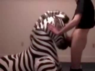 Zebra fica garganta fodido por perverter juvenil vid