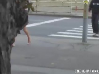 捷克语 业余 女孩 sharked 上 该 街道