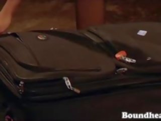 아름다운 luggage 놀람