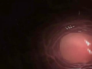 Chesty 3d аниме мотика получава дупе прецака